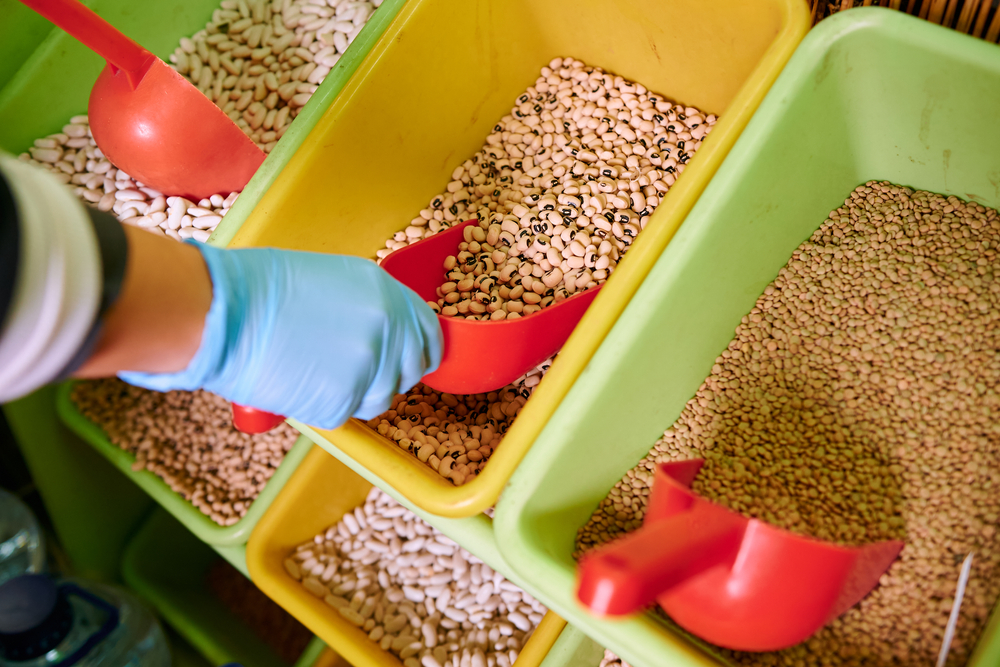 growing grocery store beans