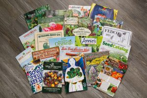 unsolicited seeds in the mail