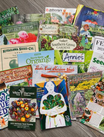 unsolicited seeds in the mail