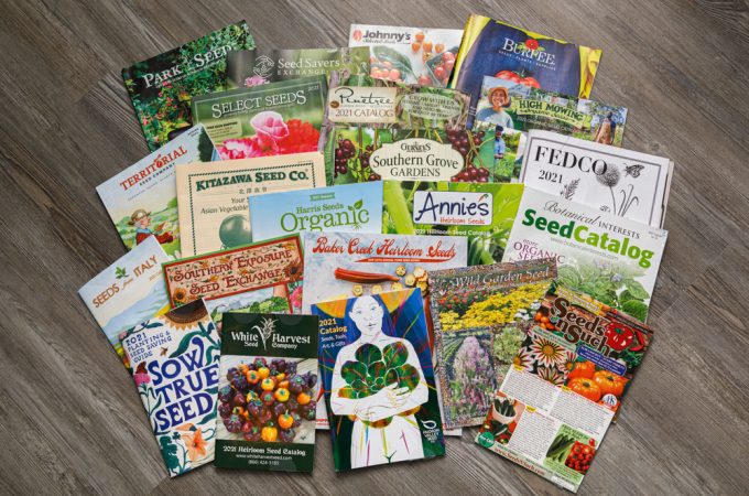 unsolicited seeds in the mail