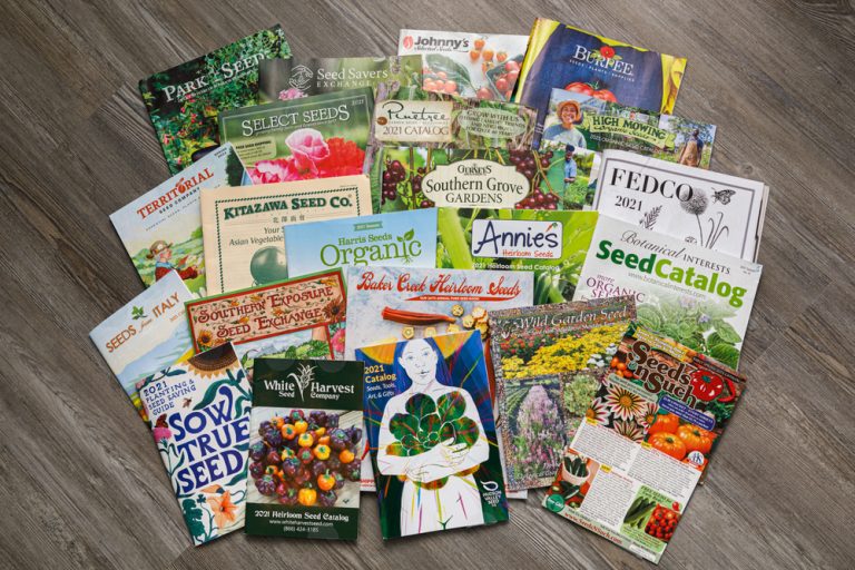 unsolicited seeds in the mail