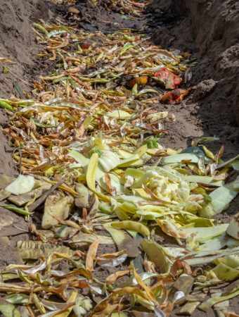 trench composting