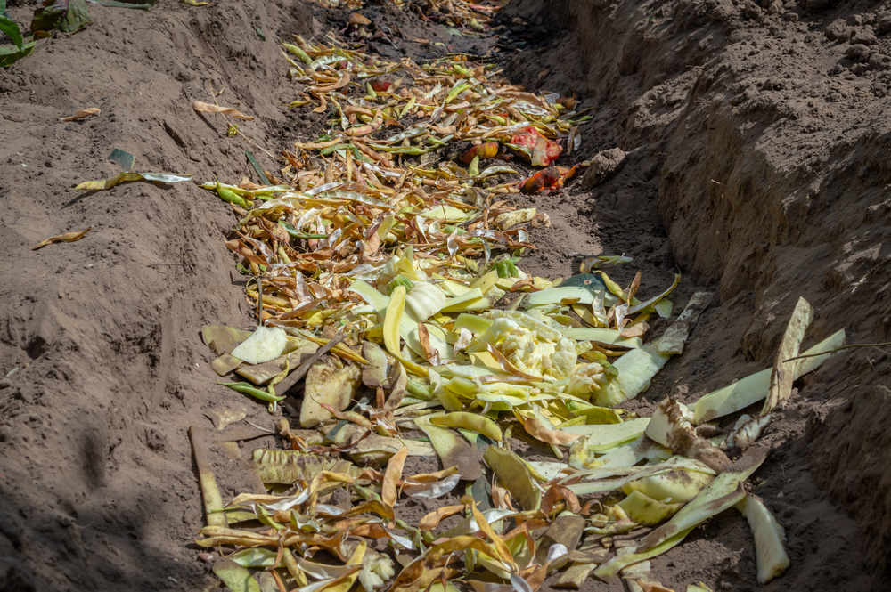 trench composting