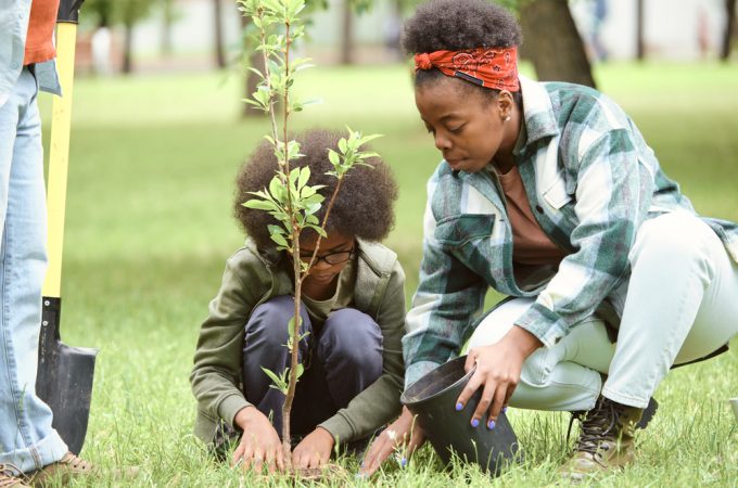 tree planting mistake