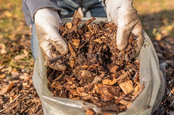 free garden mulch