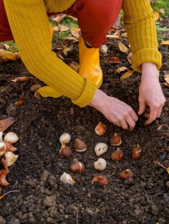 7 Garden Tasks That Get More Expensive If You Put Them Off Until Spring