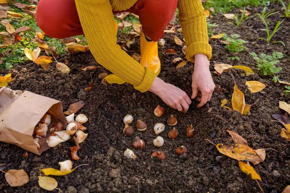 7 Garden Tasks That Get More Expensive If You Put Them Off Until Spring