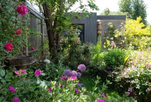 HOA native plant rules