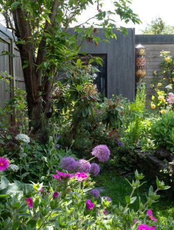 HOA native plant rules