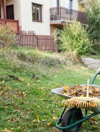 You Could Start Next Year’s Garden Now Without Spending Much at All