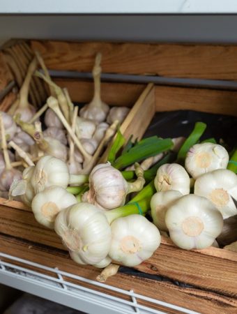 grocery store garlic