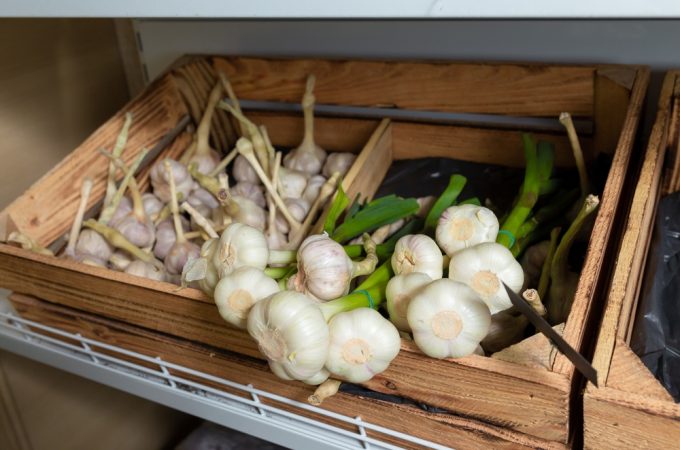 grocery store garlic