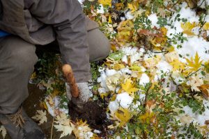 garden jobs before first frost