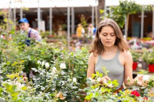 The $5 Plant at the Clearance Rack Could Be a Bargain — Or Bring Home a Pest Problem