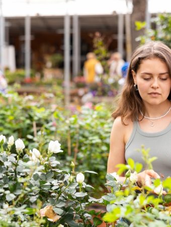 The $5 Plant at the Clearance Rack Could Be a Bargain — Or Bring Home a Pest Problem