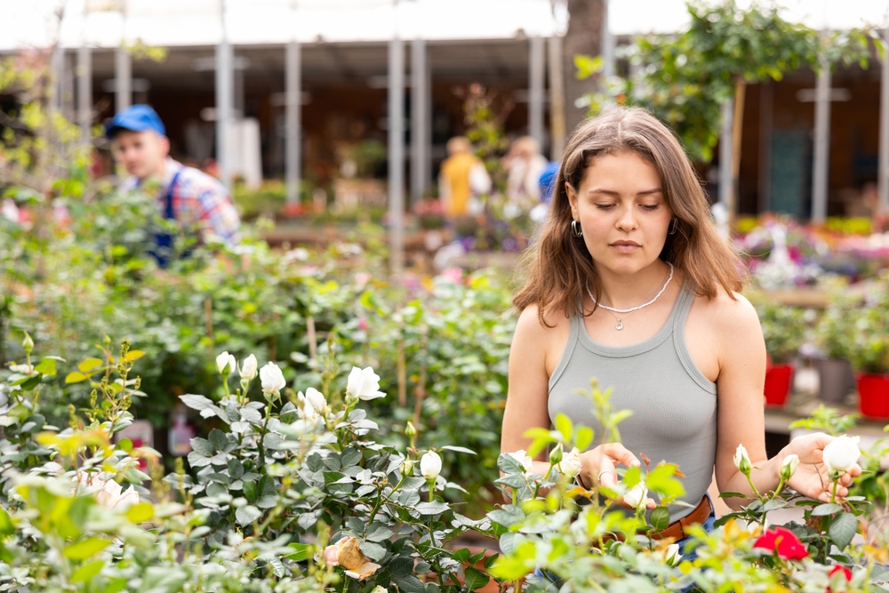 The $5 Plant at the Clearance Rack Could Be a Bargain — Or Bring Home a Pest Problem