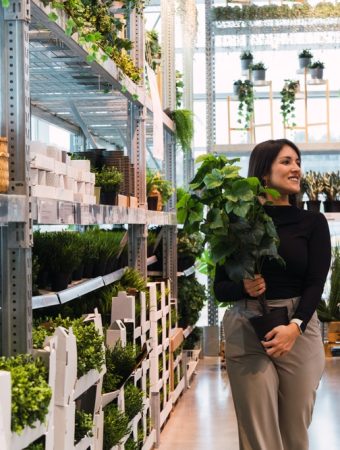 7 Things Garden Centers Often Mark Down Before Fall