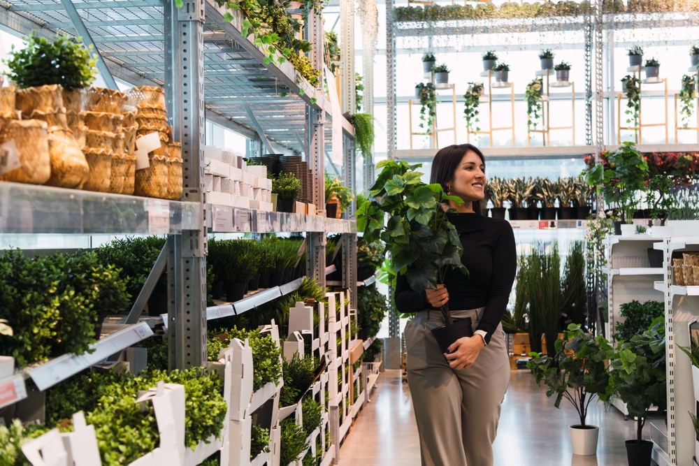 7 Things Garden Centers Often Mark Down Before Fall