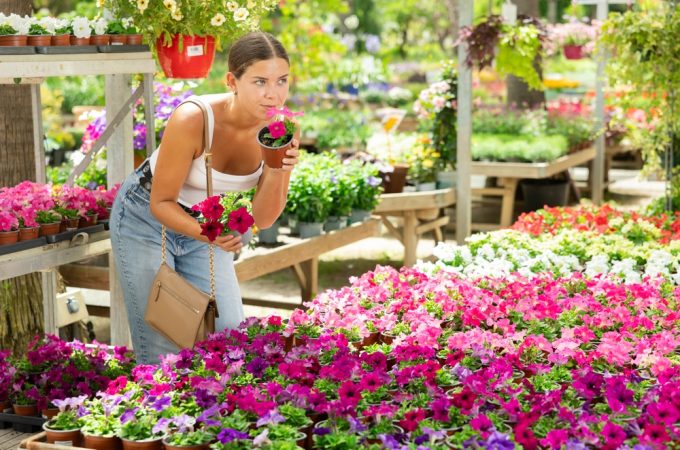 Some of the Best Garden Bargains of the Year Show Up After Summer Ends