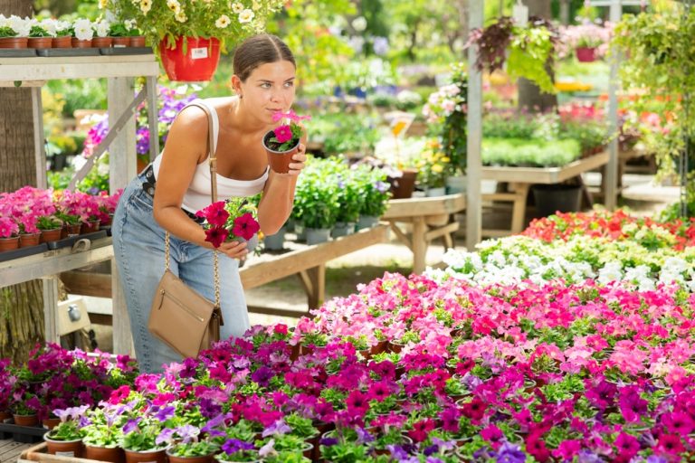 Some of the Best Garden Bargains of the Year Show Up After Summer Ends