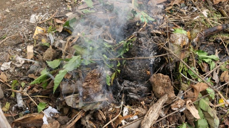 plants you should never burn