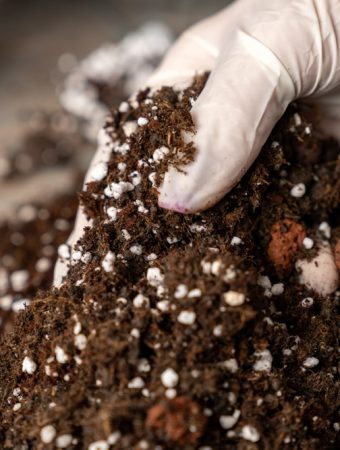 You May Not Need to Buy New Potting Soil for Every Container Next Spring