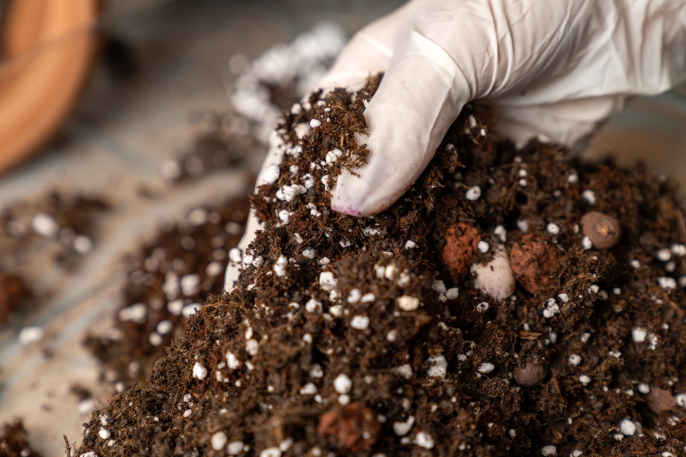 You May Not Need to Buy New Potting Soil for Every Container Next Spring