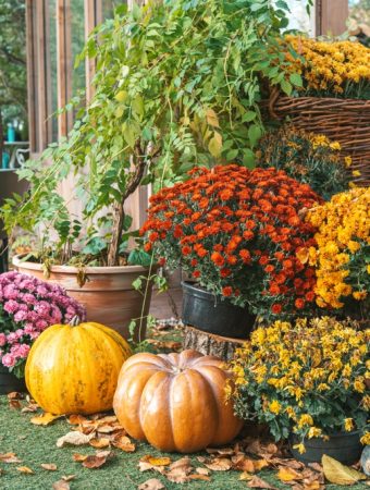 Fall Is the Time to Decide Which Garden Plants Aren’t Worth the Money Next Year
