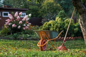 September Is One of the Best Times to Get Free Plants From the Ones You Already Own