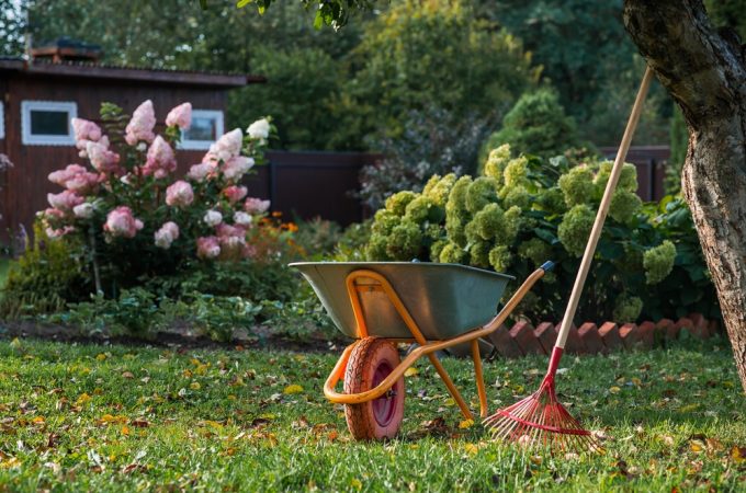 September Is One of the Best Times to Get Free Plants From the Ones You Already Own