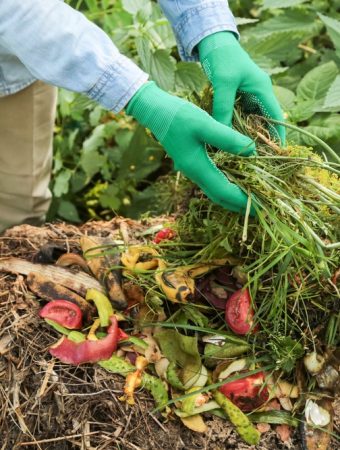 homemade compost
