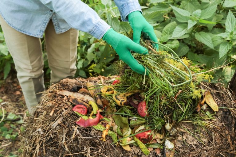 homemade compost
