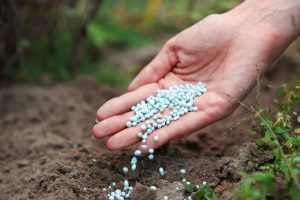 The Garden Center Wants You to Fertilize Before Winter — Your Plants May Not Need It