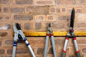 You May Be Throwing Away Garden Supplies That Could Last Another Year