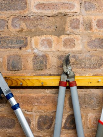 You May Be Throwing Away Garden Supplies That Could Last Another Year
