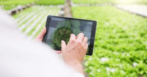 online plant pest inspection