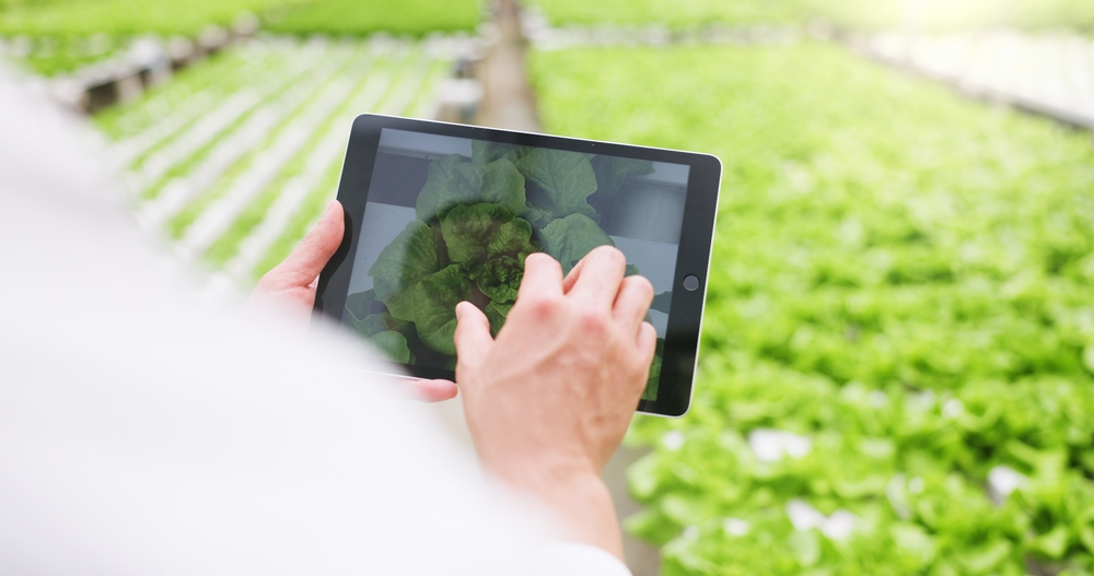 online plant pest inspection