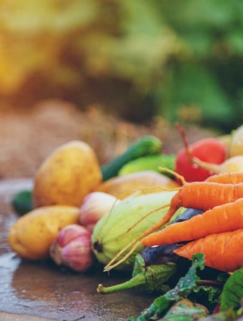 Growing Your Own Food Doesn’t Always Save Money—Here’s When It Actually Does
