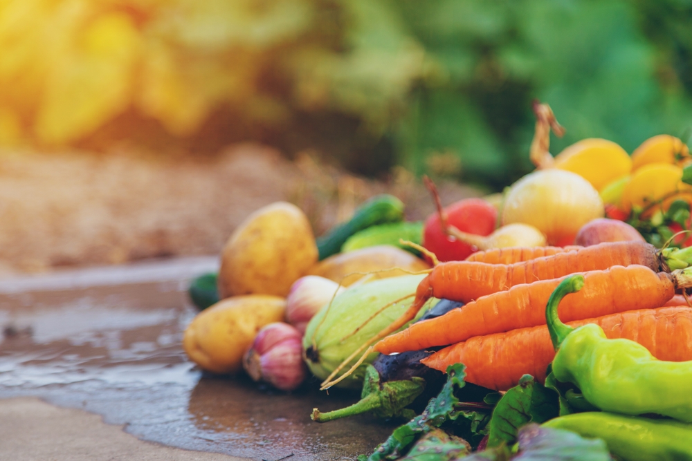 Growing Your Own Food Doesn’t Always Save Money—Here’s When It Actually Does