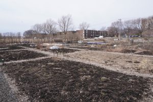 bare garden soil over winter