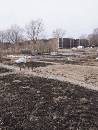 bare garden soil over winter