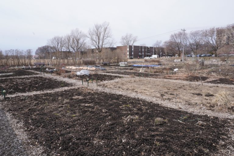 bare garden soil over winter