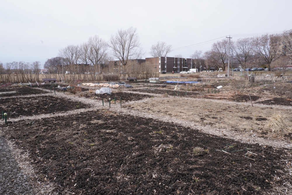 bare garden soil over winter