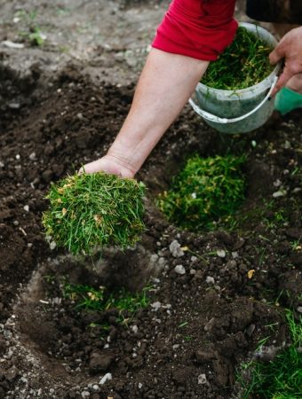 Those Dead Summer Plants May Still Have Value Before They Reach the Trash