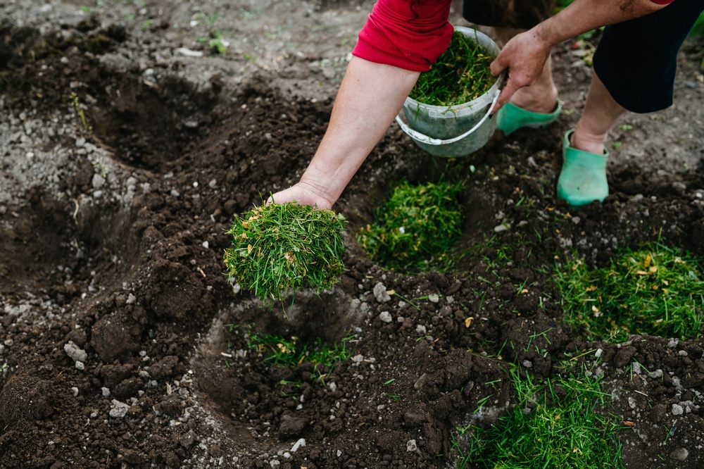 Those Dead Summer Plants May Still Have Value Before They Reach the Trash