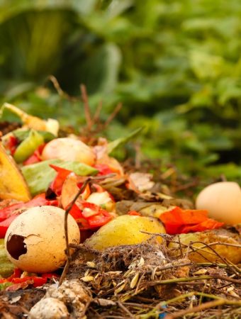 backyard composting