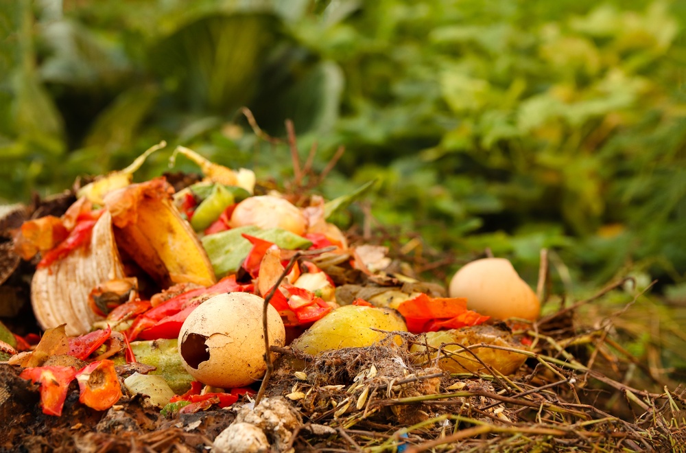 backyard composting