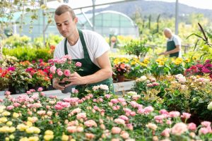 Fall Garden Clearance Has Started: These 7 Things Are Worth Buying Now and 5 Aren’t