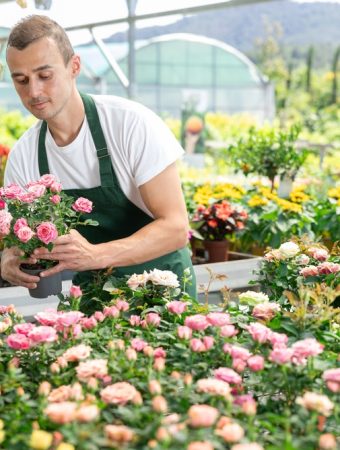 Fall Garden Clearance Has Started: These 7 Things Are Worth Buying Now and 5 Aren’t