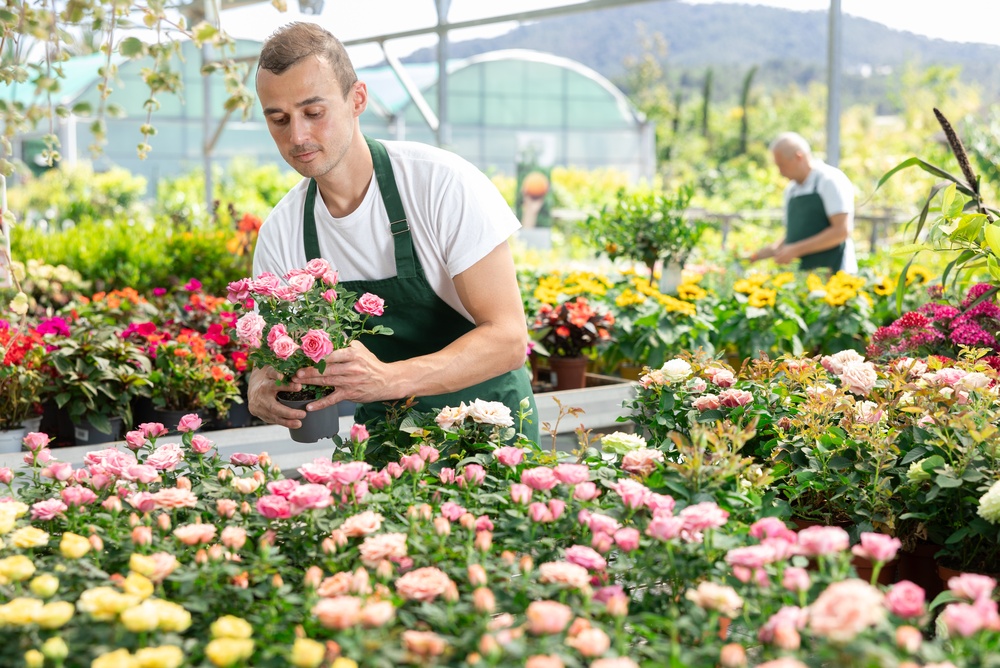 Fall Garden Clearance Has Started: These 7 Things Are Worth Buying Now and 5 Aren’t
